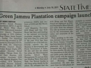 Jammu tree plantation