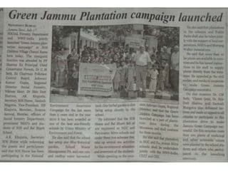 Jammu tree plantation