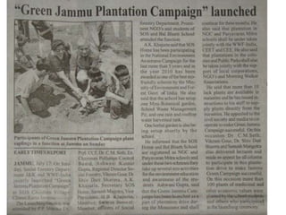 Jammu tree plantation