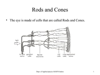 Rods and Cones
• The eye is made of cells that are called Rods and Cones.
Dept. of Applied physics SGSITS Indore 4
 