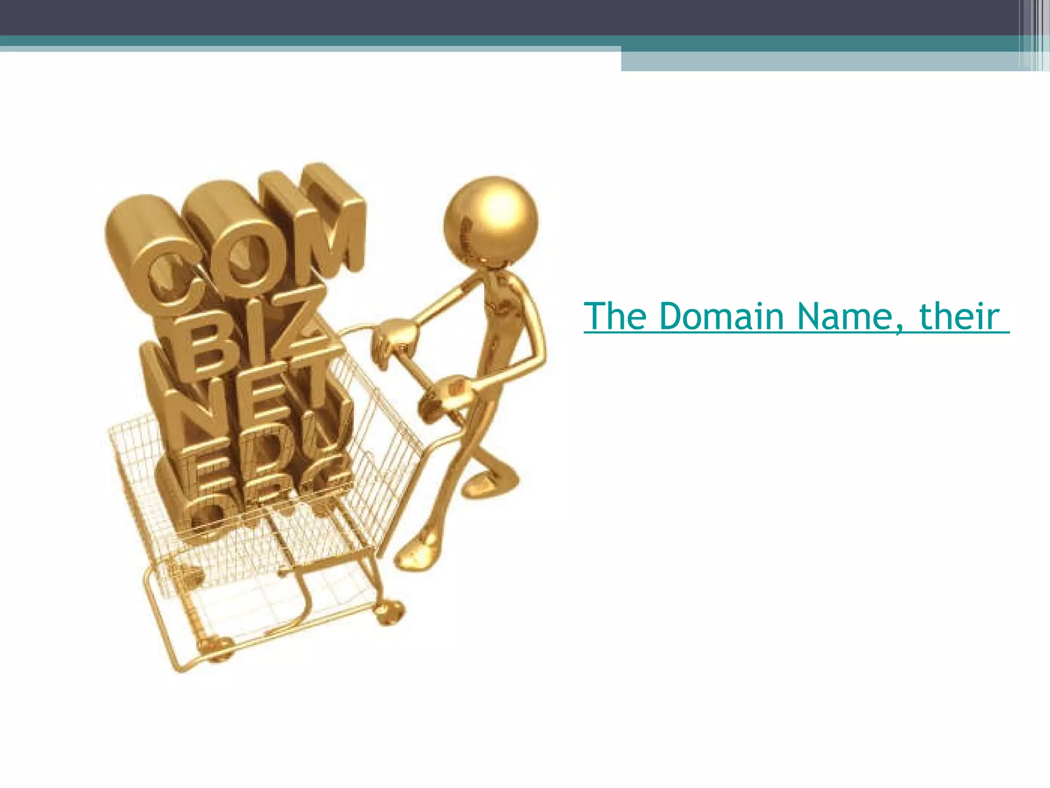 The Domain Name, their brand on Internet… 