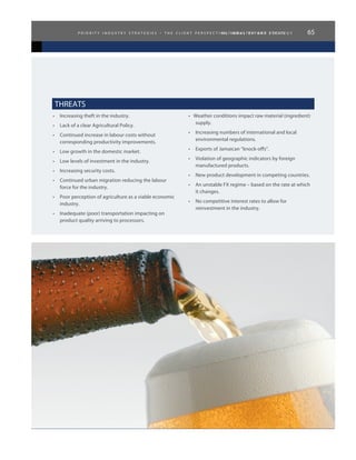 n a t i o n a l e x p o r t s t r a t e g y 65p r i o r i t y i n d u s t r y s t r a t e g i e s - t h e c l i e n t p e r s p e c t i v e , i n d u s t r y a n d f o c u s
THREATS
•	 Increasing theft in the industry.
•	 Lack of a clear Agricultural Policy.
•	 Continued increase in labour costs without
corresponding productivity improvements.
•	 Low growth in the domestic market.
•	 Low levels of investment in the industry.
•	 Increasing security costs.
•	 Continued urban migration reducing the labour
force for the industry.
•	 Poor perception of agriculture as a viable economic
industry.
•	 Inadequate (poor) transportation impacting on
product quality arriving to processors.
•   Weather conditions impact raw material (ingredient)
supply.
•	 Increasing numbers of international and local
environmental regulations.
•	 Exports of Jamaican “knock-offs”.
•	 Violation of geographic indicators by foreign
manufactured products.
•	 New product development in competing countries.
•	 An unstable FX regime – based on the rate at which
it changes.
•	 No competitive interest rates to allow for
reinvestment in the industry.
 