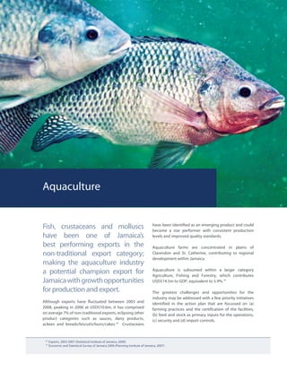 Aquaculture
18
Exports, 2003-2007 (Statistical Institute of Jamaica, 2008)
19
Economic and Statistical Survey of Jamaica 2006 (Planning Institute of Jamaica, 2007)
Fish, crustaceans and molluscs
have been one of Jamaica’s
best performing exports in the
non-traditional export category;
making the aquaculture industry
a potential champion export for
Jamaicawithgrowthopportunities
for production and export.
Although exports have fluctuated between 2003 and
2008, peaking in 2006 at USD$10.6m, it has comprised
on average 7% of non-traditional exports, eclipsing other
product categories such as sauces, dairy products,
ackees and breads/biscuits/buns/cakes.18
Crustaceans
have been identified as an emerging product and could
become a star performer with consistent production
levels and improved quality standards.
Aquaculture farms are concentrated in plains of
Clarendon and St. Catherine, contributing to regional
development within Jamaica.
Aquaculture is subsumed within a larger category
Agriculture, Fishing and Forestry, which contributes
USD$14.5m to GDP, equivalent to 5.9%.19
The greatest challenges and opportunities for the
industry may be addressed with a few priority initiatives
identified in the action plan that are focussed on (a)
farming practices and the certification of the facilities,
(b) feed and stock as primary inputs for the operations,
(c) security and (d) import controls.
 