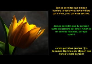 Jamas permitas que ningún hombre te esclavice: naciste libre para amar, y no para ser esclava. Jamas permitas que tu corazón sufra en nombre del amor. Amar es un acto de felicidad, por que sufrir? Jamas permitas que tus ojos derramen lágrimas por alguién que nunca te hará sonreir! 