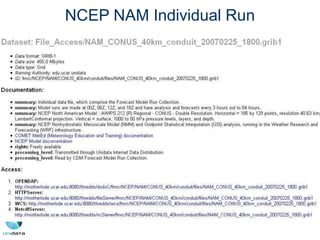 NCEP NAM Individual Run
 
