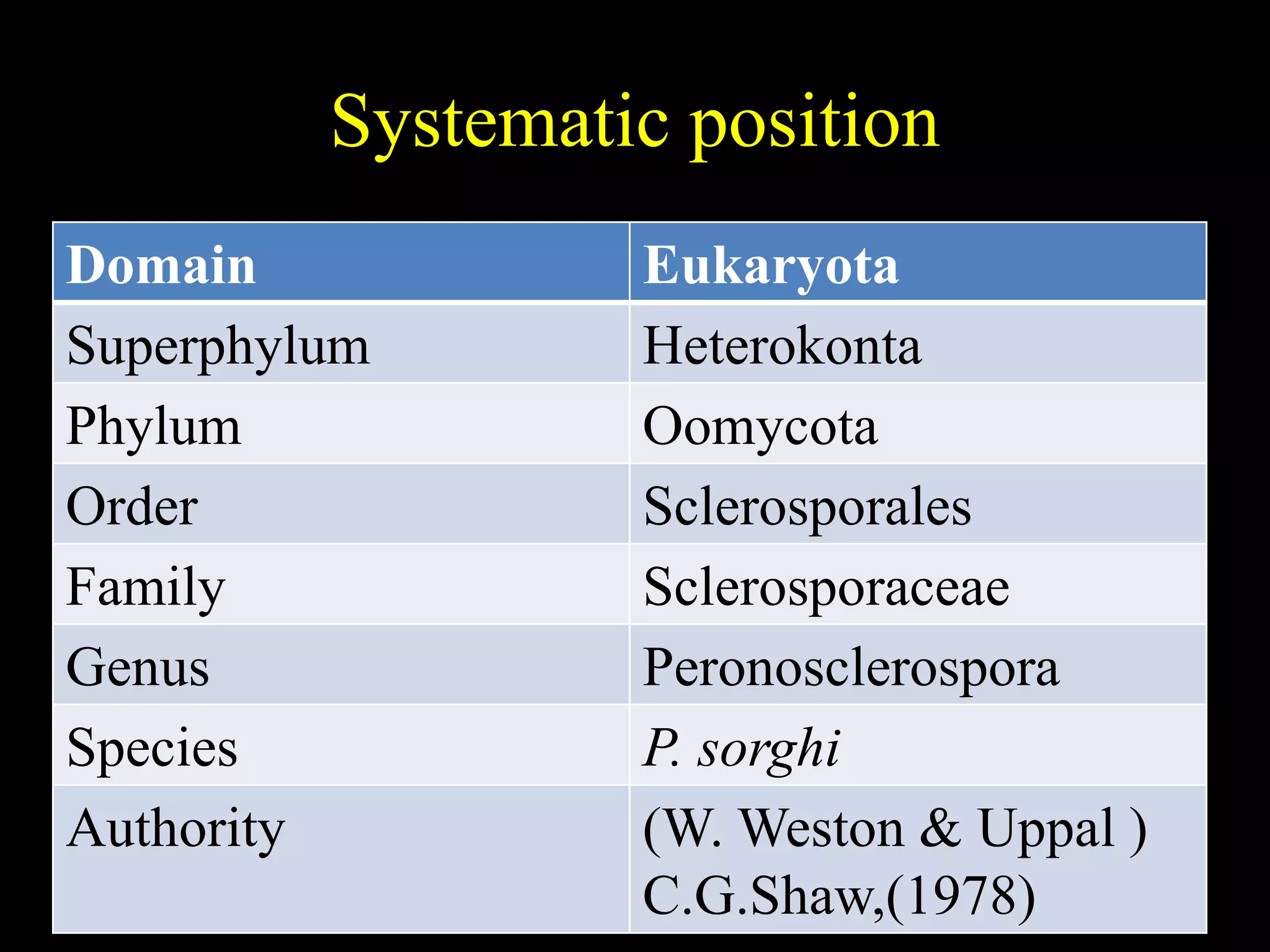 Downy Mildew of Maize | PPTX