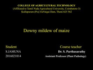 COLLEGE OF AGRICULTURAL TECHNOLOGY
(Affiliated to Tamil Nadu Agricultural University, Coimbatore-3)
Kullapuram (Po),ViaVaigai Dam, Theni-625 562
Downy mildew of maize
Student Course teacher
S.JAMUNA Dr. S. Parthasarathy
2016021014 Assistant Professor (Plant Pathology)
 