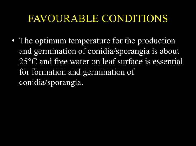 Downy Mildew of Maize | PPTX | Agriculture | Industries