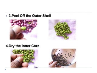  3.Peel Off the Outer Shell
4.Dry the Inner Core
 