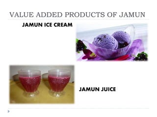 VALUE ADDED PRODUCTS OF JAMUN
JAMUN ICE CREAM
JAMUN JUICE
 