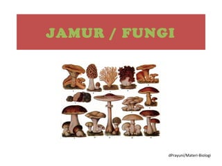 JAMUR / FUNGI

dPrayuni/Materi-Biologi

 
