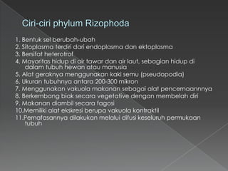 1. Bentuk sel berubah-ubah
2. Sitoplasma terdiri dari endoplasma dan ektoplasma
3. Bersifat heterotrof
4. Mayoritas hidup di air tawar dan air laut, sebagian hidup di
dalam tubuh hewan atau manusia
5. Alat geraknya menggunakan kaki semu (pseudopodia)
6. Ukuran tubuhnya antara 200-300 mikron
7. Menggunakan vakuola makanan sebagai alat pencernaannnya
8. Berkembang biak secara vegetative dengan membelah diri
9. Makanan diambil secara fagosi
10.Memiliki alat ekskresi berupa vakuola kontraktil
11.Pernafasannya dilakukan melalui difusi keseluruh permukaan
tubuh

 