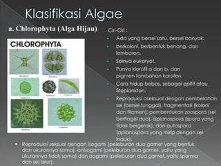 a. Chlorophyta (Alga Hijau)

Ciri-Ciri :


Ada yang bersel satu, bersel banyak.



berkoloni, berbentuk benang, dan
lembaran.



Selnya eukaryot.



Punya klorofil a dan b, dan
pigmen tambahan karoten.



Cara hidup bebas, sebagai epifit atau
fitoplankton.

Reproduksi aseksual dengan pembelahan
sel (bersel tunggal), fragmentasi (koloni
dan filamen), pembentukan zoospora (sel
berflagel dua), aplanospora (spora yang
tidak bergerak), dan autospora
(aplanospora yang mirip dengan sel
induk).
 Reproduksi seksual dengan isogami (peleburan dua gamet yang bentuk
dan ukurannya sama), anisogami (peleburan dua gamet, yaitu yang
ukurannya tidak sama) dan oogami (peleburan dua gamet, yaitu sperma
dan sel telur).


 