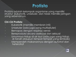Protista adalah kelompok organisme yang memiliki
struktur eukariotik, uniseluler, dan tidak memiliki jaringan
yang sebenarnya.
Ciri-Ciri Protista
·
Eukariotik (memiliki membran inti)
·
Uniseluler (ada juga yang multiseluler)
·
Bernapas dengan respirasi aerob
·
Bereproduksi secara aseksual dan seksual
·
Umumnya hidup di air laut (ada juga yang hidup
di tanah ataupun tempat-tempat yang lembab)
·
Memperoleh makanannya dengan autotrof dan
heterotrof

 