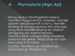Sering disebut Dinoflagellata karena
memiliki 2 flagel.bersifat uniseluler, memiliki
piqmen berupa klorofil a dan c. Memiliki
dinding sel berupa selulosa dan ada juga
yang tidak memiliki dinding sel. Disebut
ganggang Api, karena mampu
memancarkan cahaya (bioluminesens)
pada kondisi gelap. Hidup di air laut dan
ada yang di air tawar.
 Contoh : Noctiluca sp, Ceratium sp,
Gonyaulax sp, Perridium sp.


 