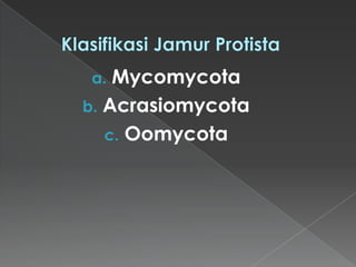 Mycomycota
b. Acrasiomycota
c. Oomycota
a.

 