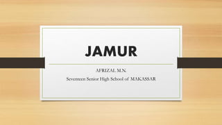 JAMUR
AFRIZAL M.N.
Seventeen Senior High School of MAKASSAR
 