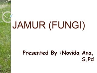 JAMUR (FUNGI)
Presented By :Novida Ana,
S.Pd
 