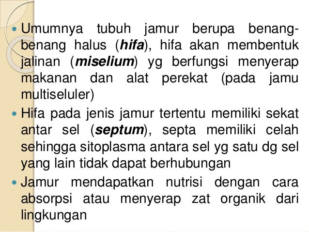 Jamur