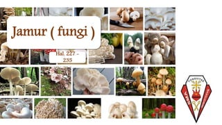 Jamur ( fungi )
Hal. 227 -
235
 