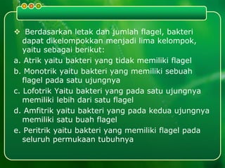  Berdasarkan letak dan jumlah flagel, bakteri
dapat dikelompokkan menjadi lima kelompok,
yaitu sebagai berikut:
a. Atrik yaitu bakteri yang tidak memiliki flagel
b. Monotrik yaitu bakteri yang memiliki sebuah
flagel pada satu ujungnya
c. Lofotrik Yaitu bakteri yang pada satu ujungnya
memiliki lebih dari satu flagel
d. Amfitrik yaitu bakteri yang pada kedua ujungnya
memiliki satu buah flagel
e. Peritrik yaitu bakteri yang memiliki flagel pada
seluruh permukaan tubuhnya
 