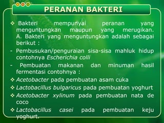 PERANAN BAKTERI
 Bakteri mempunyai peranan yang
menguntungkan maupun yang merugikan.
A. Bakteri yang menguntungkan adalah sebagai
berikut :
- Pembusukan/penguraian sisa-sisa mahluk hidup
contohnya Escherichia colli
- Pembuatan makanan dan minuman hasil
fermentasi contohnya :
 Acetobacter pada pembuatan asam cuka
 Lactobacillus bulgaricus pada pembuatan yoghurt
 Acetobacter xylinum pada pembuatan nata de
coco
 Lactobacillus casei pada pembuatan keju
yoghurt.
 