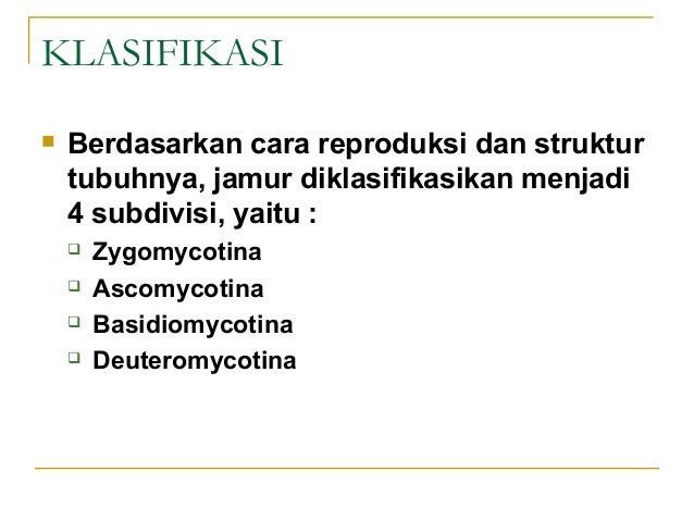 Biologi kelas 10 - Jamur (Fungi)