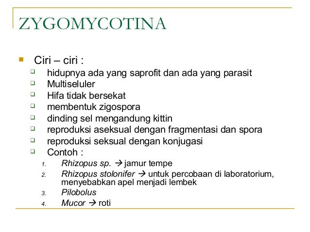 Biologi kelas 10 - Jamur (Fungi) Biologi kelas 10 - Jamur (Fungi)