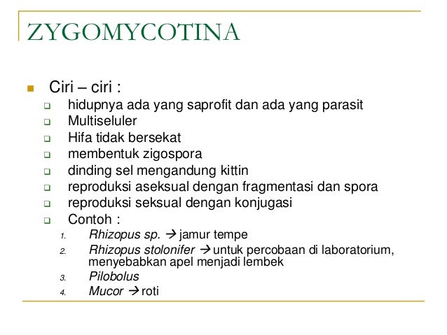 Gambar Kunci Jawaban Jamur Aspergillus Wentii Berperan