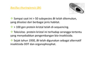 Bacillus thuringiensis (Bt)
Sampai saat ini > 50 subspesies Bt telah ditemukan,
yang diisolasi dari berbagai jenis habitat.
> 100 gen protein kristal telah di-sequencing.
Toksisitas protein kristal ini terhadap serangga tertentuToksisitas protein kristal ini terhadap serangga tertentu
yang menyebabkan pengembangan bio-insektisida.
Sejak tahun 1930, Bt telah digunakan sebagai alternatif
insektisida DDT dan organophosphat.
 