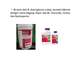 Bt toxin dari B. thuringiensis subsp. kurstaki dikenal
dengan nama dagang: Dipel, Sok-Bt, Thuricide, Certan,
dan Bactospeine.
 