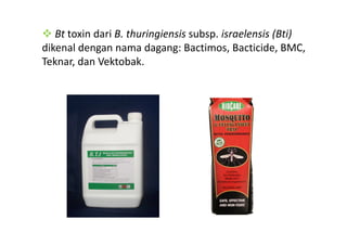 Bt toxin dari B. thuringiensis subsp. israelensis (Bti)
dikenal dengan nama dagang: Bactimos, Bacticide, BMC,
Teknar, dan Vektobak.
 