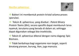 Bacillus sphaericus
Bakteri ini membentuk protein kristal selama proses
sporulasi.
Toksin B. sphaericus, yang disebut : Potent Binary
Protein Toxins (Bin), secara spesifik dapat membunuh larva
nyamuk, terutama yang berada di dalam air, sehingganyamuk, terutama yang berada di dalam air, sehingga
dapat digunakan sebagai bio-insektisida.
Toksin B. sphaericus dikenal dengan nama dagang: Spic
Biomass.
Tidak berbahaya bagi organisme non-target, seperti
binatang piaraan, burung, ikan, juga manusia.
 