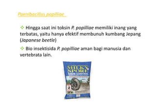 Paenibacillus popilliae
Hingga saat ini toksin P. popilliae memiliki inang yang
terbatas, yaitu hanya efektif membunuh kumbang Jepang
(Japanese beetle)
Bio insektisida P. popilliae aman bagi manusia dan
vertebrata lain.vertebrata lain.
 