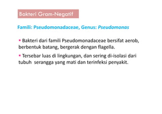 Bakteri Gram-Negatif
Famili: Pseudomonadaceae, Genus: Pseudomonas
Bakteri dari famili Pseudomonadaceae bersifat aerob,
berbentuk batang, bergerak dengan flagella.
Tersebar luas di lingkungan, dan sering di-isolasi dariTersebar luas di lingkungan, dan sering di-isolasi dari
tubuh serangga yang mati dan terinfeksi penyakit.
 