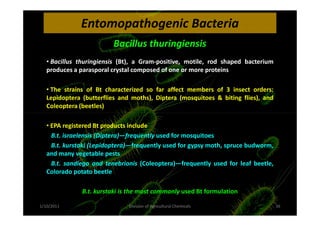 Entomopathogenic Bacteria
• Bacillus thuringiensis (Bt), a Gram-positive, motile, rod shaped bacterium
produces a parasporal crystal composed of one or more proteins
• The strains of Bt characterized so far affect members of 3 insect orders:
Lepidoptera (butterflies and moths), Diptera (mosquitoes & biting flies), and
Coleoptera (beetles)
Bacillus thuringiensis
• EPA registered Bt products include
B.t. israelensis (Diptera)—frequently used for mosquitoes
B.t. kurstaki (Lepidoptera)—frequently used for gypsy moth, spruce budworm,
and many vegetable pests
B.t. sandiego and tenebrionis (Coleoptera)—frequently used for leaf beetle,
Colorado potato beetle
B.t. kurstaki is the most commonly used Bt formulation
1/10/2011 36Division of Agricultural Chemicals
 