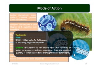 Mode of Action
Bacillus thuringiensis strains
produce crystalline proteins
(called δ-endotoxins)
Caterpillar consumes the Bt spore
(diagram 1) & crystalline toxin-
treated leaf
The Bt crystalline toxin (diamond shapes inTreatments:The Bt crystalline toxin (diamond shapes in
diagram 2) binds to gut wall receptors, and
the caterpillar stops feeding
Within hours, the gut wall breaks down,
allowing spores (oval tube shapes) and normal
gut bacteria (circular shapes) to enter body
cavity, where the toxin dissolves
The caterpillar dies in 24 to 48 hours from septicemia, as spores and gut
bacteria proliferate in its blood (diagram 3)
Treatments:
Dose:
i) 100 – 150 g/ bigha for field crops.
ii) 150-200 g /bigha for orchards.
Method: The powder is first mixed with small quantity of
water to prepare a uniform suspension. Then the required
quantity of water is added and thoroughly mixed before spray.
1/10/2011 37Division of Agricultural Chemicals
 