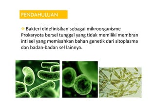PENDAHULUAN
Bakteri didefinisikan sebagai mikroorganisme
Prokaryota bersel tunggal yang tidak memiliki membran
inti sel yang memisahkan bahan genetik dari sitoplasma
dan badan-badan sel lainnya.
 