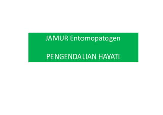 JAMUR Entomopatogen
PENGENDALIAN HAYATIPENGENDALIAN HAYATI
 