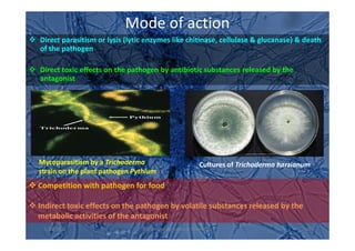 Mode of action
Direct parasitism or lysis (lytic enzymes like chitinase, cellulase & glucanase) & death
of the pathogen
Direct toxic effects on the pathogen by antibiotic substances released by the
antagonist
Mycoparasitism by a Trichoderma
strain on the plant pathogen Pythium
Competition with pathogen for food
Indirect toxic effects on the pathogen by volatile substances released by the
metabolic activities of the antagonist
Cultures of Trichoderma harzianum
1/10/2011 60Division of Agricultural Chemicals
 