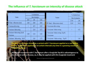The influence of T. harzianum on intensity of disease attack
Artificial inoculationNatural inoculation
1/10/2011 Division of Agricultural Chemicals 62
The best results have shown by a variant with T. harzianum applied on a soil before
sowing and further application at certain intervals any time in a growing season of
tobacco seedlings
Additional treatment with T. harzianum after a fungicide Top M is advantageous to
the situation with a disease, so, it may be applied with this fungicide treatment
 