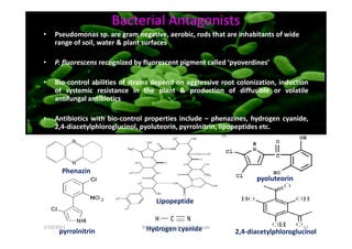 Bacterial Antagonists
• Pseudomonas sp. are gram negative, aerobic, rods that are inhabitants of wide
range of soil, water & plant surfaces
• P. fluorescens recognized by fluorescent pigment called ‘pyoverdines’
• Bio-control abilities of strains depend on aggressive root colonization, induction
of systemic resistance in the plant & production of diffusible or volatile
antifungal antibiotics
• Antibiotics with bio-control properties include – phenazines, hydrogen cyanide,
2,4-diacetylphloroglucinol, pyoluteorin, pyrrolnitrin, lipopeptides etc.2,4-diacetylphloroglucinol, pyoluteorin, pyrrolnitrin, lipopeptides etc.
Phenazin
2,4-diacetylphloroglucinol
pyoluteorin
pyrrolnitrin
Lipopeptide
Hydrogen cyanide1/10/2011 63Division of Agricultural Chemicals
 