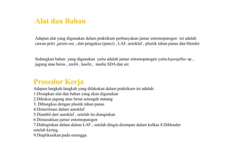 Alat dan Bahan
Adapun alat yang digunakan dalam praktikum perbanyakan jamur entomopatogen ini adalah
cawan petri ,jarum ose , alat pengukus (panci) , LAF, autoklaf , plastik tahan panas dan blender
Sedangkan bahan yang digunakan yaitu adalah jamur entomopatogen yaituAspergillus sp ,
jagung atau beras , zeolit , kaolit , media SDA dan air.
Prosedur KerjaProsedur Kerja
Adapun langkah-langkah yang dilakukan dalam praktikum ini adalah:
1.Disiapkan alat dan bahan yang akan digunakan
2.Dikukus jagung atau beras setengah matang
3. Dibungkus dengan plastik tahan panas
4.Disterilisasi dalam autoklaf
5.Diambil dari autoklaf , setelah itu dianginkan
6.Dimasukkan jamur entomopatogen
7.Didinginkan dalam dalam LAF , setelah dingin disimpan dalam kulkas 8.Diblender
setelah kering.
9.Diaplikasikan pada serangga.
 