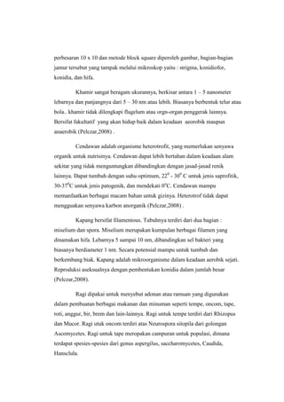 perbesaran 10 x 10 dan metode block square diperoleh gambar, bagian-bagian
jamur tersebut yang tampak melalui mikroskop yaitu : strigma, konidiofor,
konidia, dan hifa.

         Khamir sangat beragam ukurannya, berkisar antara 1 – 5 nanometer
lebarnya dan panjangnya dari 5 – 30 nm atau lebih. Biasanya berbentuk telur atau
bola.. khamir tidak dilengkapi flagelum atau orgn-organ penggerak lainnya.
Bersifat fakultatif yang akan hidup baik dalam keadaan aeorobik maupun
anaerobik (Pelczar,2008) .

         Cendawan adalah organisme heterotrofit, yang memerlukan senyawa
organik untuk nutrisinya. Cendawan dapat lebih bertahan dalam keadaan alam
sekitar yang tidak menguntungkan dibandingkan dengan jasad-jasad renik
lainnya. Dapat tumbuh dengan suhu optimum, 220 - 300 C untuk jenis saprofitik,
30-370C untuk jenis patogenik, dan mendekati 0oC. Cendawan mampu
memanfaatkan berbagai macam bahan untuk gizinya. Heterotrof tidak dapat
mengguakan senyawa karbon anorganik (Pelczar,2008) .

         Kapang bersifat filamentous. Tubuhnya terdiri dari dua bagian :
miselium dan spora. Miselium merupakan kumpulan berbagai filamen yang
dinamakan hifa. Lebarnya 5 sampai 10 nm, dibandingkan sel bakteri yang
biasanya berdiameter 1 nm. Secara potensial mampu untuk tumbuh dan
berkembang biak. Kapang adalah mikroorganisme dalam keadaan aerobik sejati.
Reproduksi aseksualnya dengan pembentukan konidia dalam jumlah besar
(Pelczar,2008).

         Ragi dipakai untuk menyebut adonan atau ramuan yang digunakan
dalam pembuatan berbagai makanan dan minuman seperti tempe, oncom, tape,
roti, anggur, bir, brem dan lain-lainnya. Ragi untuk tempe terdiri dari Rhizopus
dan Mucor. Ragi utuk oncom terdiri atas Neurospora sitopila dari golongan
Ascomycetes. Ragi untuk tape meropakan campuran untuk populasi, dimana
terdapat spesies-spesies dari genus aspergilus, saccharomycetes, Caudida,
Hansclula.
 