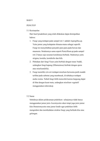 BAB V

PENUTUP

5.1 Kesimpulan
   Dari hasil praaktikum yang telah dilakukan dapat disimpulkan
   bahwa:
   1. Fungi yang terdapat pada sampel roti 1 adalah Aspergillus,sp.
       Yaitu jamur yang kedapatan dimana-mana sebagai saprofit.
       Fungi ini menyebabkan penyakit paru-paru pada hewan dan
       maunusia. Strukturnya sama seperti Penicillium,sp pada sampel
       roti 2 hanya saja susunan konidianya berbeda. Stukturnya yaitu
       strigma, konidia, konidiofor dan hifa.
   2. Pebedaan dari fungi Yeast yaitu berbiak dengan tunas/ buddi,
       sedangkan fungi kapang (fillamentous) berbiak dengan spora
       atau miselium(hifa).
   3. Fungi memiliki ciri-ciri terdapat miselium berwarna putih mudah
       terlihat pada substrat yang membusuk, di tubuhnya terdapat
       aneka warna. Tubuh fungi lebih mencolok karena langsung dapat
       di lihat dengan kasat mata, sedangkan miselium vegetatif
       menggunakan mikroskop.




5.2 Saran
   Sebaiknya dalam pelaksanaan praktikum selanjutnya tidak hanya
   menggunakan jamur jenis Ascomycetes akan tetapi juga jenis jamur
   klas Deuteromycetes atau jamur lendir agar praktikan lebih
   mengetahui dan membedakan struktur fungi yang berbeda klas atau
   golongan.
 