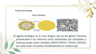 El agente etiológico es el virus dengue, que es del género Flavivirus
perteneciente a los arbovirus (virus transmitidos por artrópodos o
insectos) posee cuatro serotipos (DENV1,DENV2, DENV3, DENV4),
los cuales están circulando simultáneamente en nuestro país.
3
Familia Flaviviridaes
Hay 4 serotipos
 