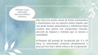 6
La infección puede cursar de forma asintomática
o manifestarse con un espectro clínico amplio, que
van desde formas asintomáticas y subclínicas hasta
cuadros muy graves con compromiso vascular,
afección de órganos y sistemas que se asocian a
mortalidad.
Después del período de incubación (de 4 a 10
días), la enfermedad comienza abruptamente y
pasa por tres fases: febril, crítica y de recuperación
El dengue es una
enfermedad
infecciosa sistémica
y dinámica.
 