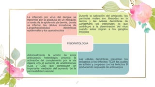 7
La infección por virus del dengue se
transmite por la picadura de un mosquito
a través de la epidermis yla dermis, donde
se infectan las células inmaduras de
Langerhans(células dendríticas
epidermales y los queratinocitos)
Durante la salivación del artrópodo, las
partículas virales son liberadas en la
dermis y las células dendríticas de
Langerhans las interiorizan, lo que
contribuye a la diseminación del virus
cuando estas migran a los ganglios
linfáticos
Adicionalmente la acción de estos
anticuerpos heterólogos provoca la
activación del complemento por la vía
clásica con el aumento de anafilotoxinas
(C3a y C5a) que constituyen un
importante mediador del aumento de la
permeabilidad vascular
Las células dendríticas presentan los
antígenos a los linfocitos TCD4 los cuales
se activan y cooperan con los linfocitos B
produciendo respuesta de anticuerpos
FISIOPATOLOGIA
 