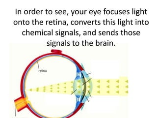 Diseases Of The Eye | PPTX