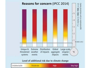 Reasons for concern (IPCC 2014)
 